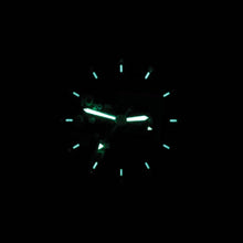 Load image into Gallery viewer, Bertucci A-2TR Field Pro GMT 12132