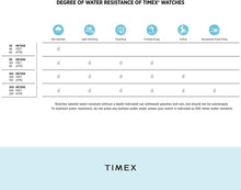Load image into Gallery viewer, Q Timex Men's 38mm Watch