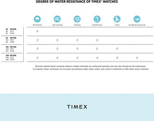 Load image into Gallery viewer, Timex Men's Auburn University Tigers Watch Citation Steel Watch