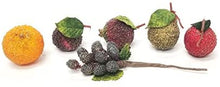 Load image into Gallery viewer, Plus One Imports 6 piece Vectra Fruit Assortment
