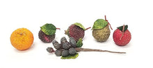 Load image into Gallery viewer, Plus One Imports 6 piece Vectra Fruit Assortment
