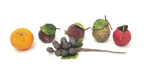 Plus One Imports 6 piece Vectra Fruit Assortment